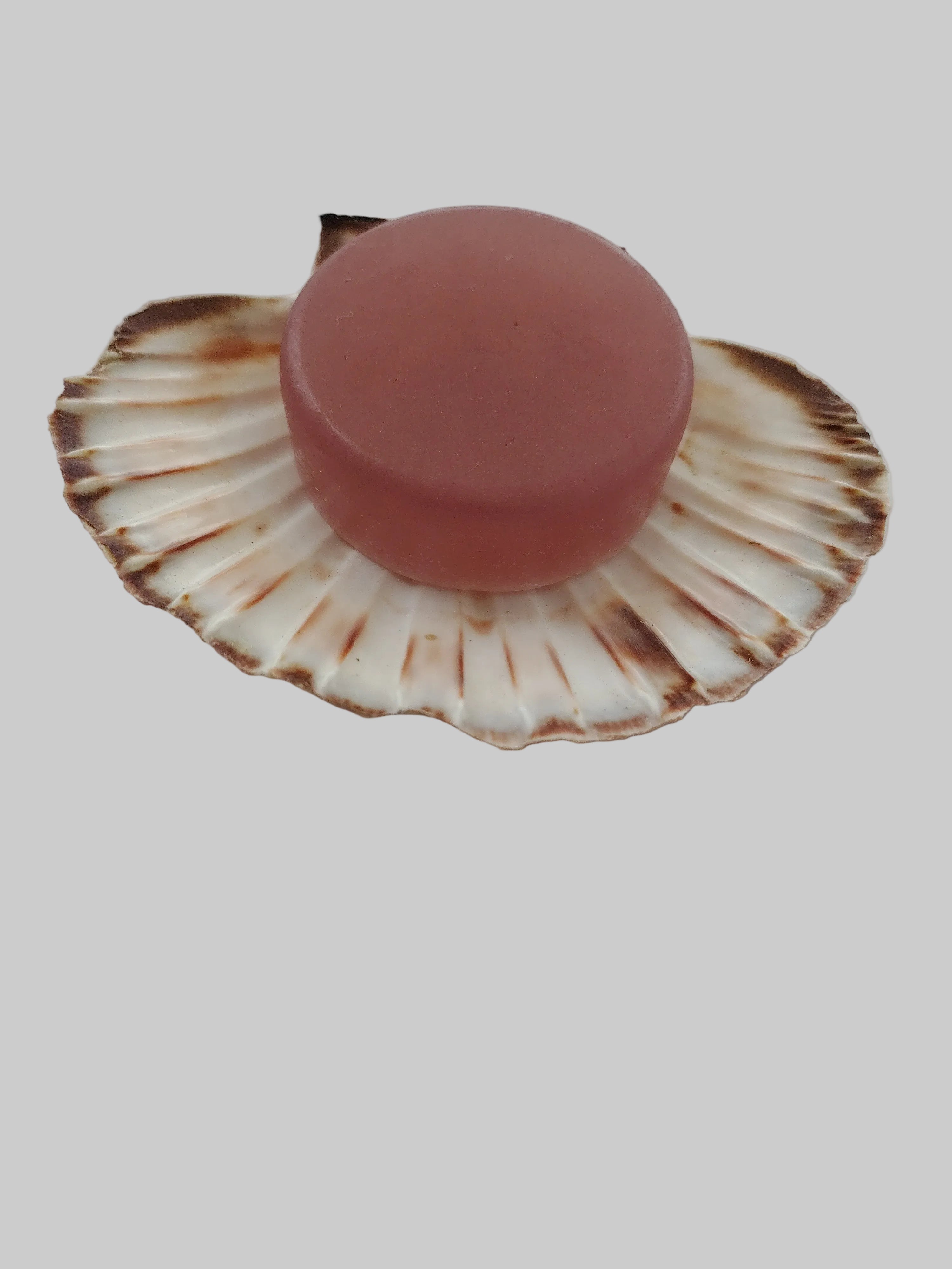 Savon fragrance " Tarte citrouille et noisette"