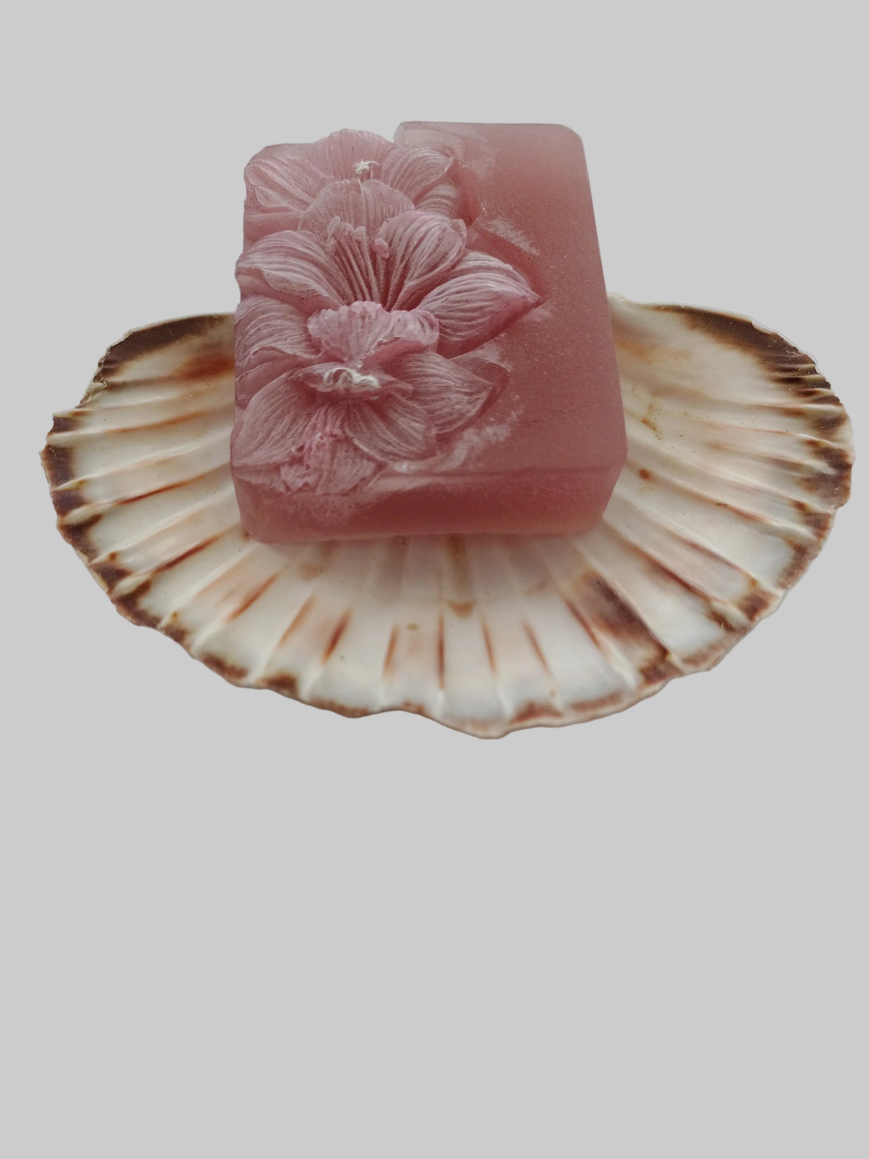 Savon fragrance " Tarte citrouille et noisette"