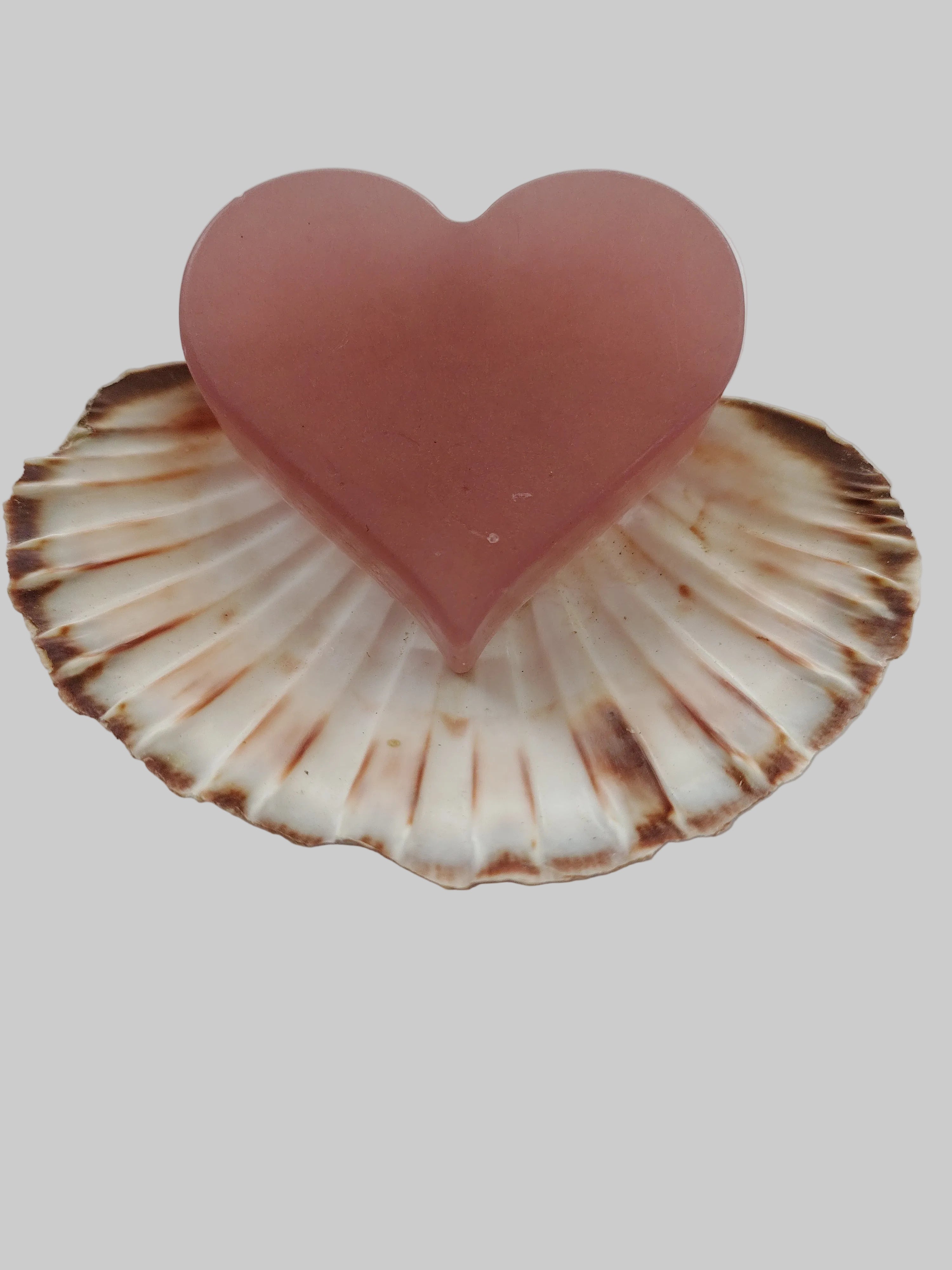 Savon fragrance " Tarte citrouille et noisette"